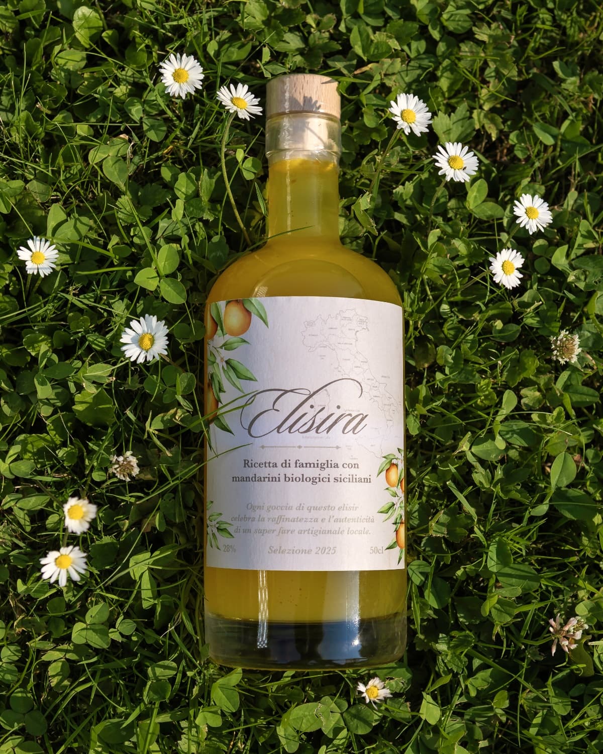 Une bouteille d'Elisira 50 cl couchée dans l'herbe, entre des pâquerettes et du trèfle
